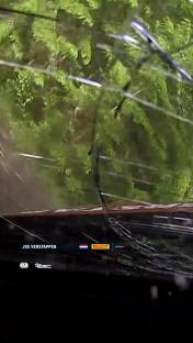 Jos Verstappen's crash.