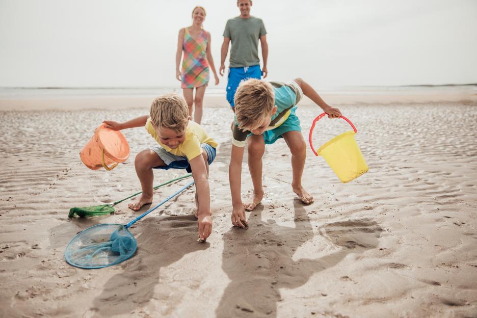 a family playing on the beach with buckets and nets