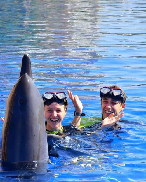 Two people swim with a dolphin.