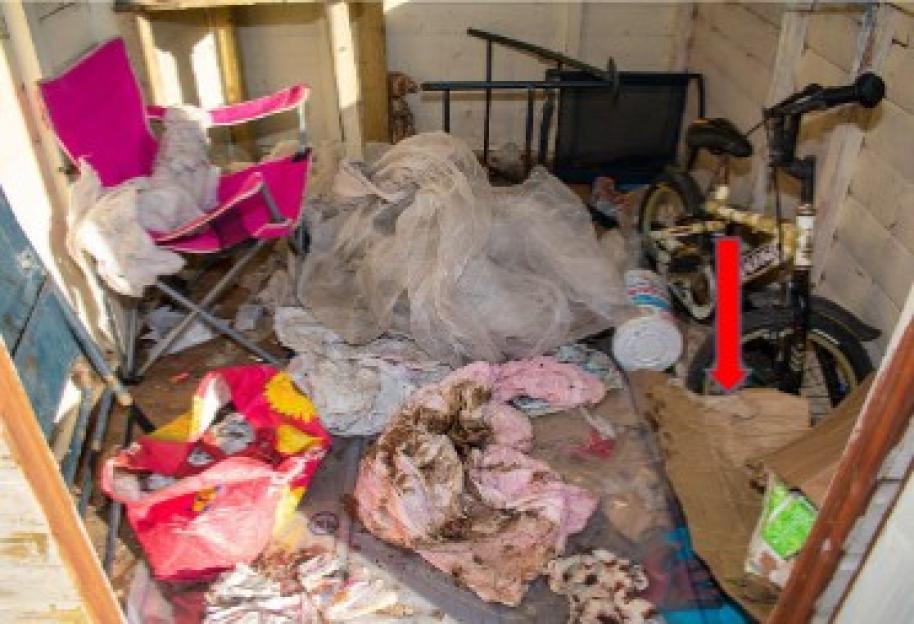 Inside of a cluttered shed where a baby was found.