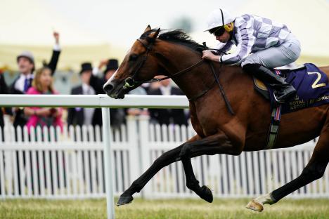 Horse and jockey winning a race at Royal Ascot.