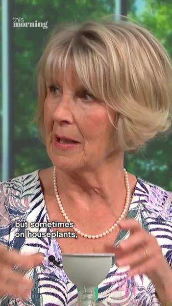 Woman discussing houseplants on This Morning.