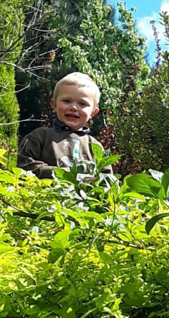 Photo of Daniel John Twigg, 3, who died in a dog attack.