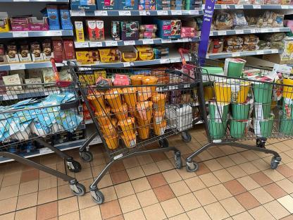 Shopping carts full of groceries and gardening supplies in a store aisle.