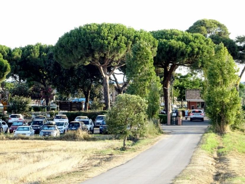 Cars parked in a lot near a gated entrance, surrounded by tall pine trees.