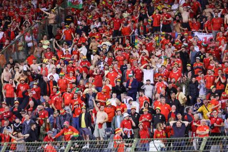Welsh fans react to a goal during a Belgium vs. Wales soccer match.