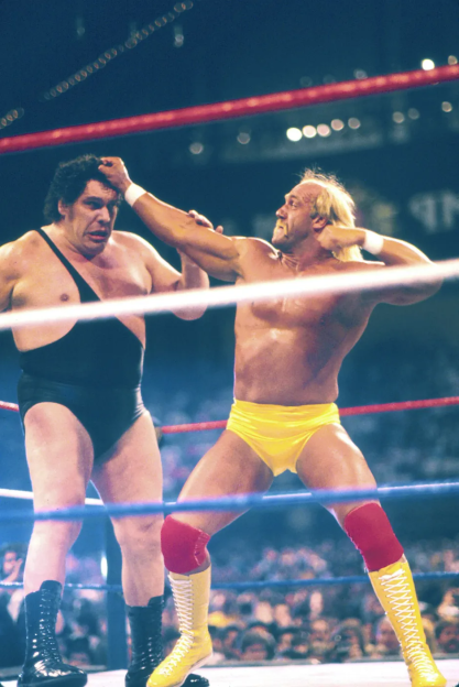 Hulk Hogan and Andre the Giant wrestling in a ring.