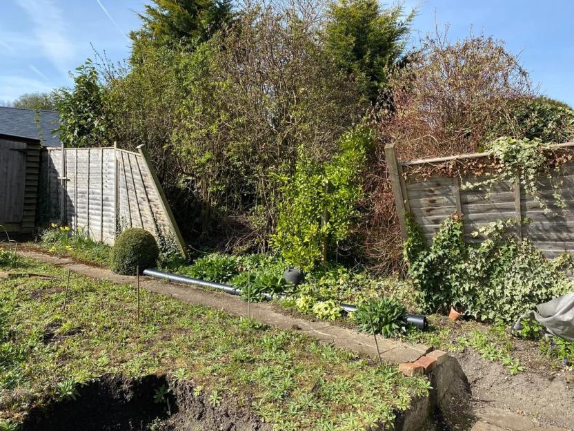 Overgrown garden with damaged fences.