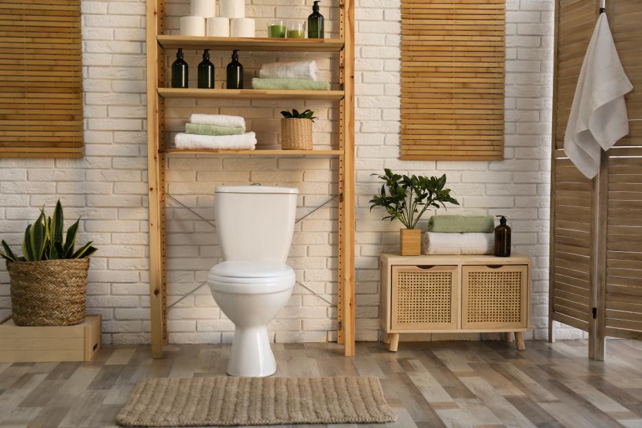 Stylish bathroom interior with toilet, shelves, and plants.