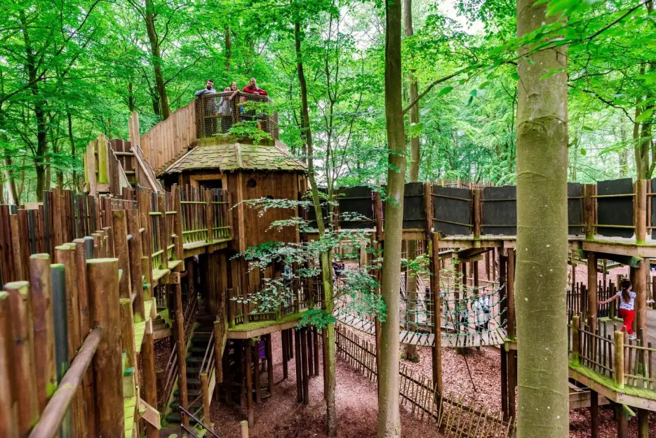 Elevated wooden playground structure in a forest.