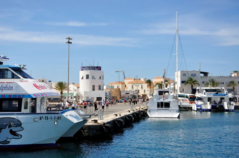 Boats docked at a harbor.