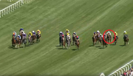 Horse race in progress.