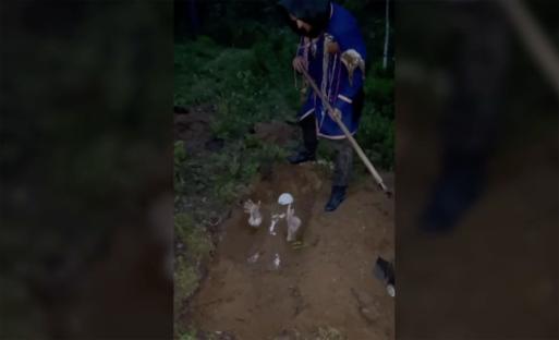 Police raid a Russian forest ceremony; a person is being dug from a grave.
