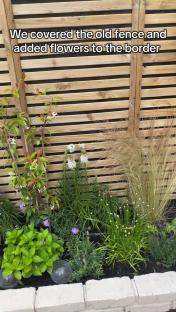 Garden makeover: new fence and flower border.