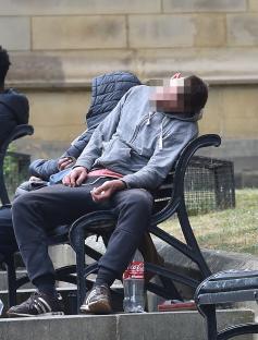 Person sleeping on a park bench.