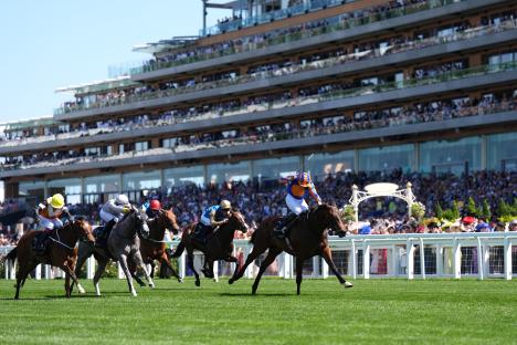 Horses racing at Ascot Racecourse.