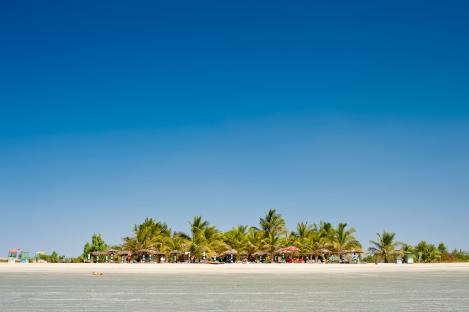 Paradise beach in Gambia with palm trees.