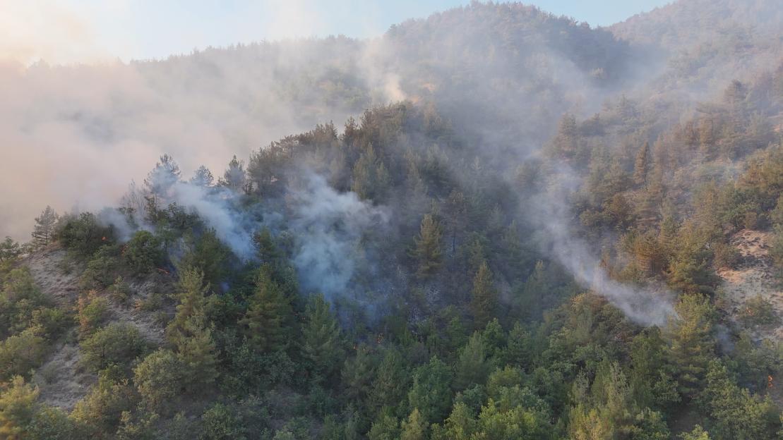 Smoke rises from a forest fire.
