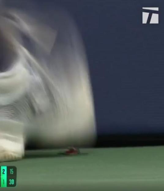 Tennis player saving a bug on a court.