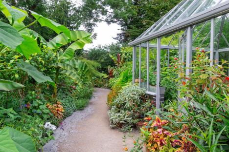 Gravel path winding through a lush garden with a greenhouse.