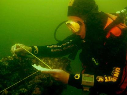 Diver surveying the wreckage of Captain Cook's Endeavour.