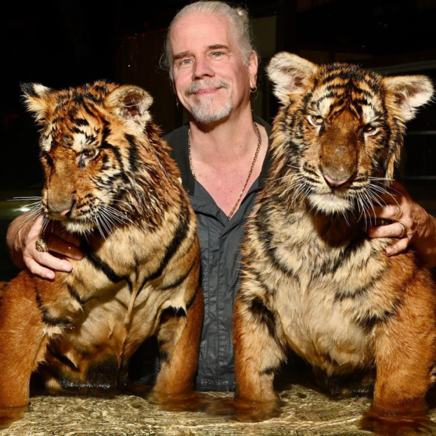 Man holding two tiger cubs.