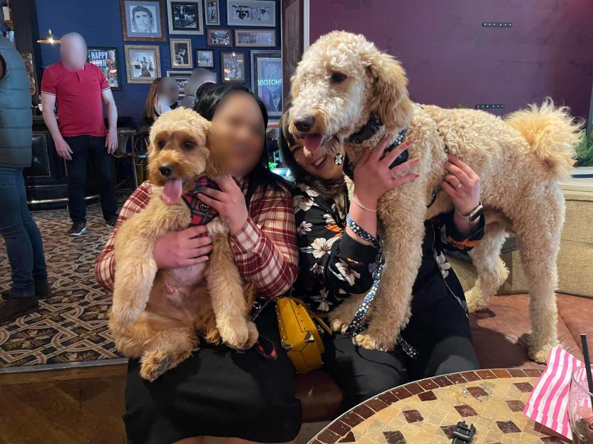 Two women sitting together, holding their dogs.