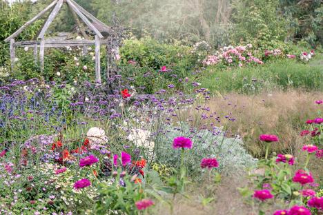 Vibrant flower garden with wooden pergola.