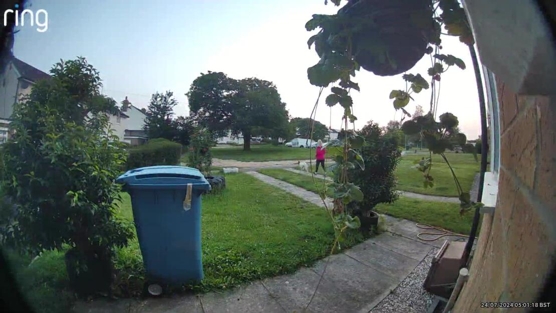 CCTV footage of Anita Rose walking her dog.