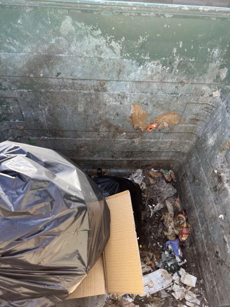 Overfilled, dirty dumpster with trash bags and debris.