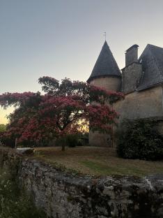 Stone building with a flowering tree in front.