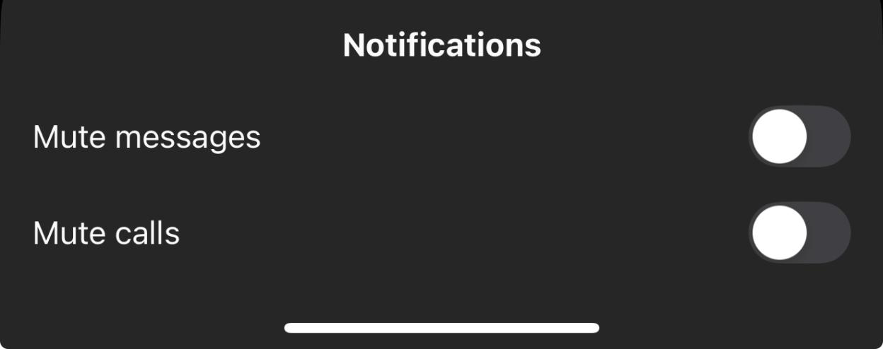 Notification settings: mute messages and calls.