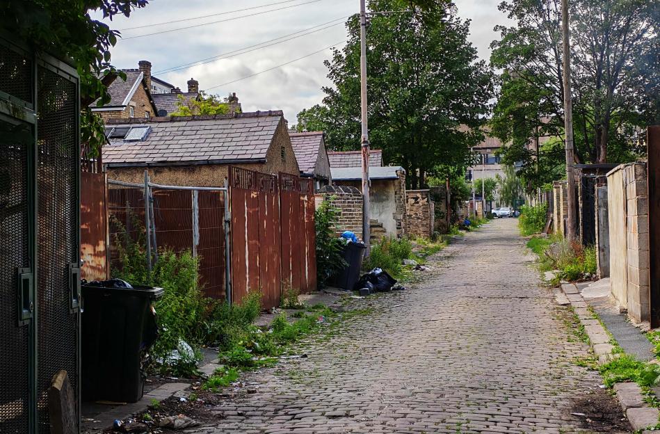Cobblestone alleyway with overgrown weeds and trash cans.