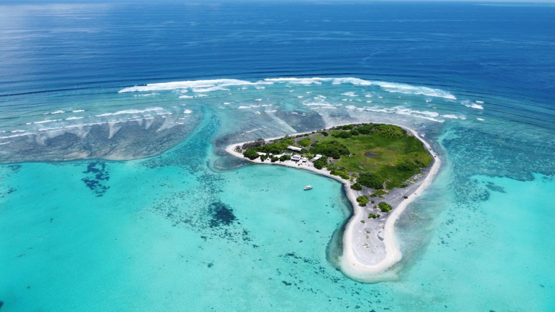 One Tree Island - Supplied