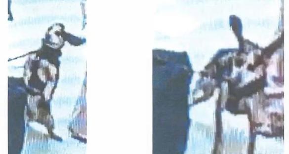 Security camera images of a man kicking a sniffer dog.