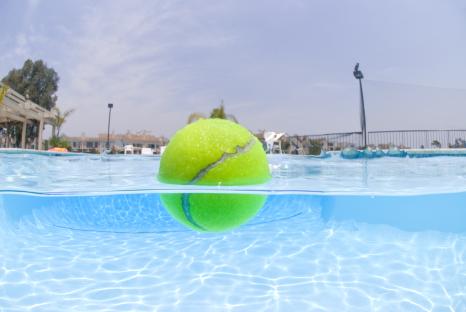 Tennis ball floating in a swimming pool.