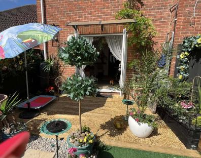 A budget-friendly garden with a patio, plants, and a tropical-themed umbrella.