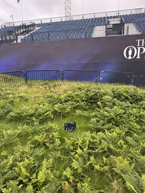 Ferns and grass in front of bleachers at The Open.