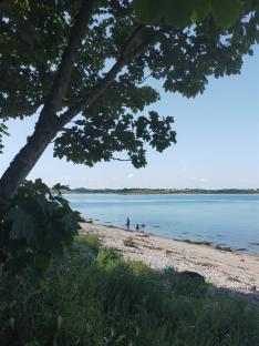 People wading in shallow water on a sandy beach.