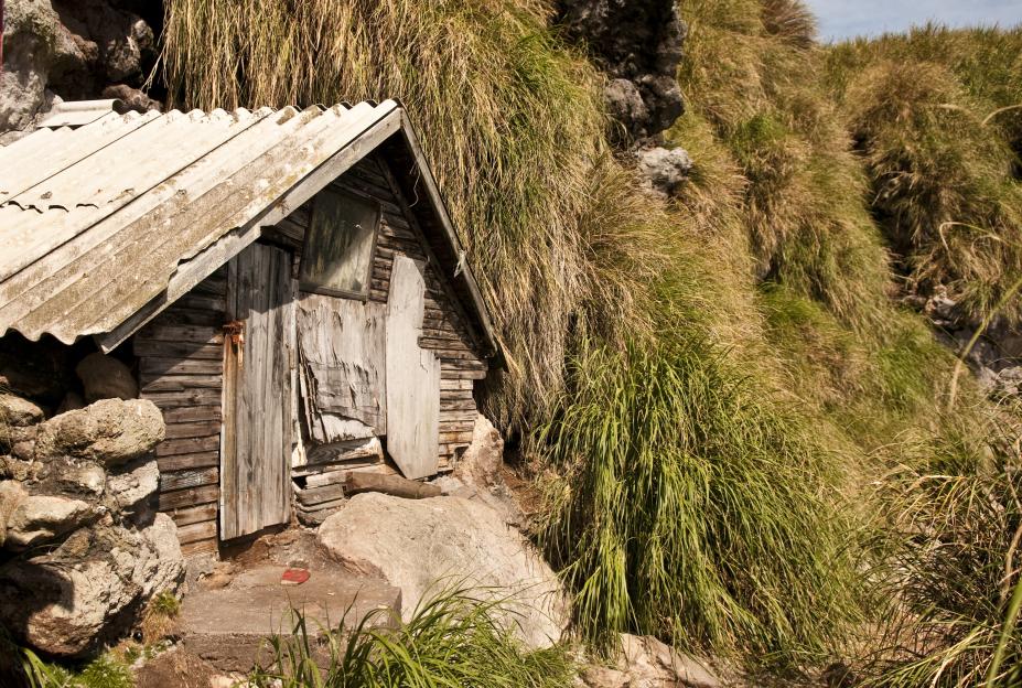 A dilapidated wooden cabin nestled in tall grass on a rocky hillside.
