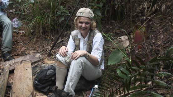 Plane wreckage in the jungle.
