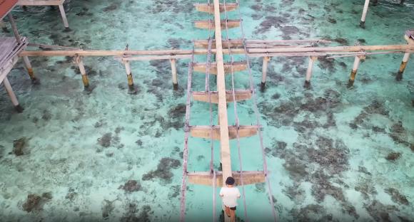 Person walking on dilapidated pier over shallow turquoise water.