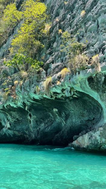 Rocky cliffside with green vegetation overhanging turquoise water.