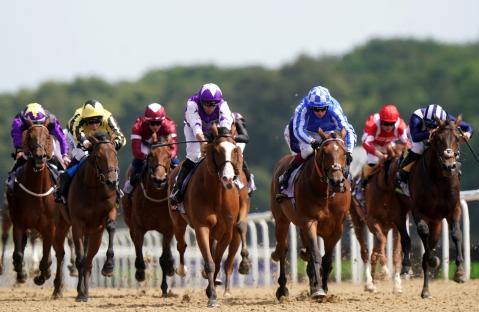 Horses and jockeys racing.