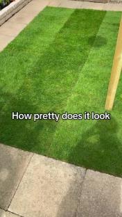 Newly laid lawn next to patio.