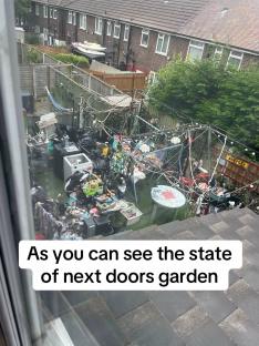 Overgrown and cluttered backyard.