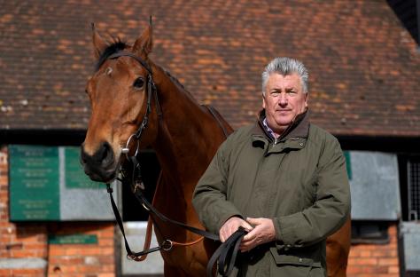 A man and a brown horse.