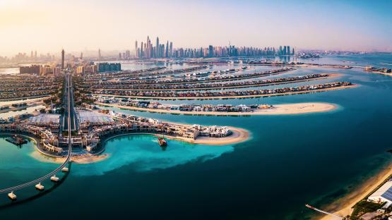 Aerial view of Palm Jumeirah and Dubai Marina.