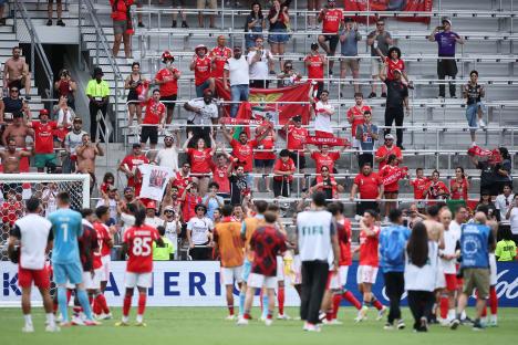 SL Benfica fans celebrating at a soccer match.