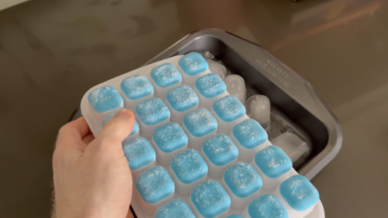 Hand holding a tray of frozen ice cubes.